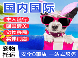 临汾空运代理国际宠物托运 【国
